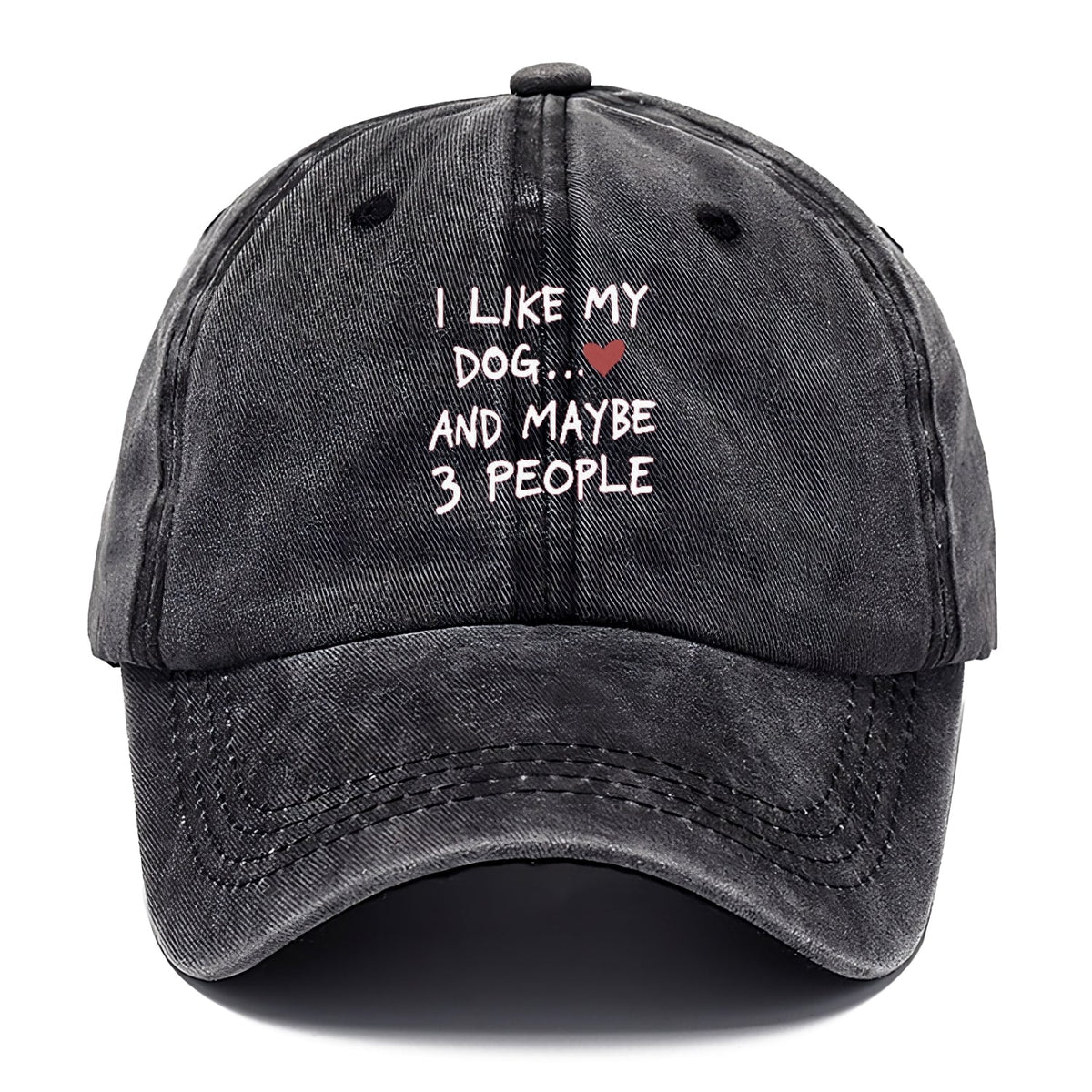 I Like My Dog And Maybe 3 People Classic Cap