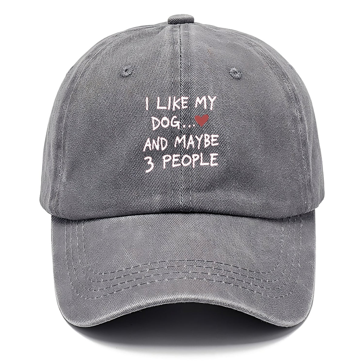 I Like My Dog And Maybe 3 People Classic Cap
